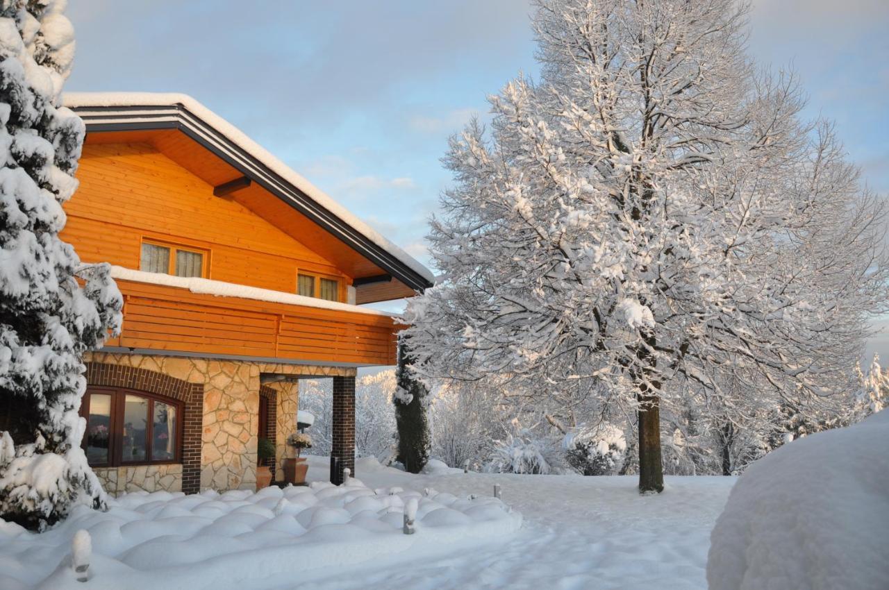 Guesthouse Dolinsek Sevnica Exterior foto
