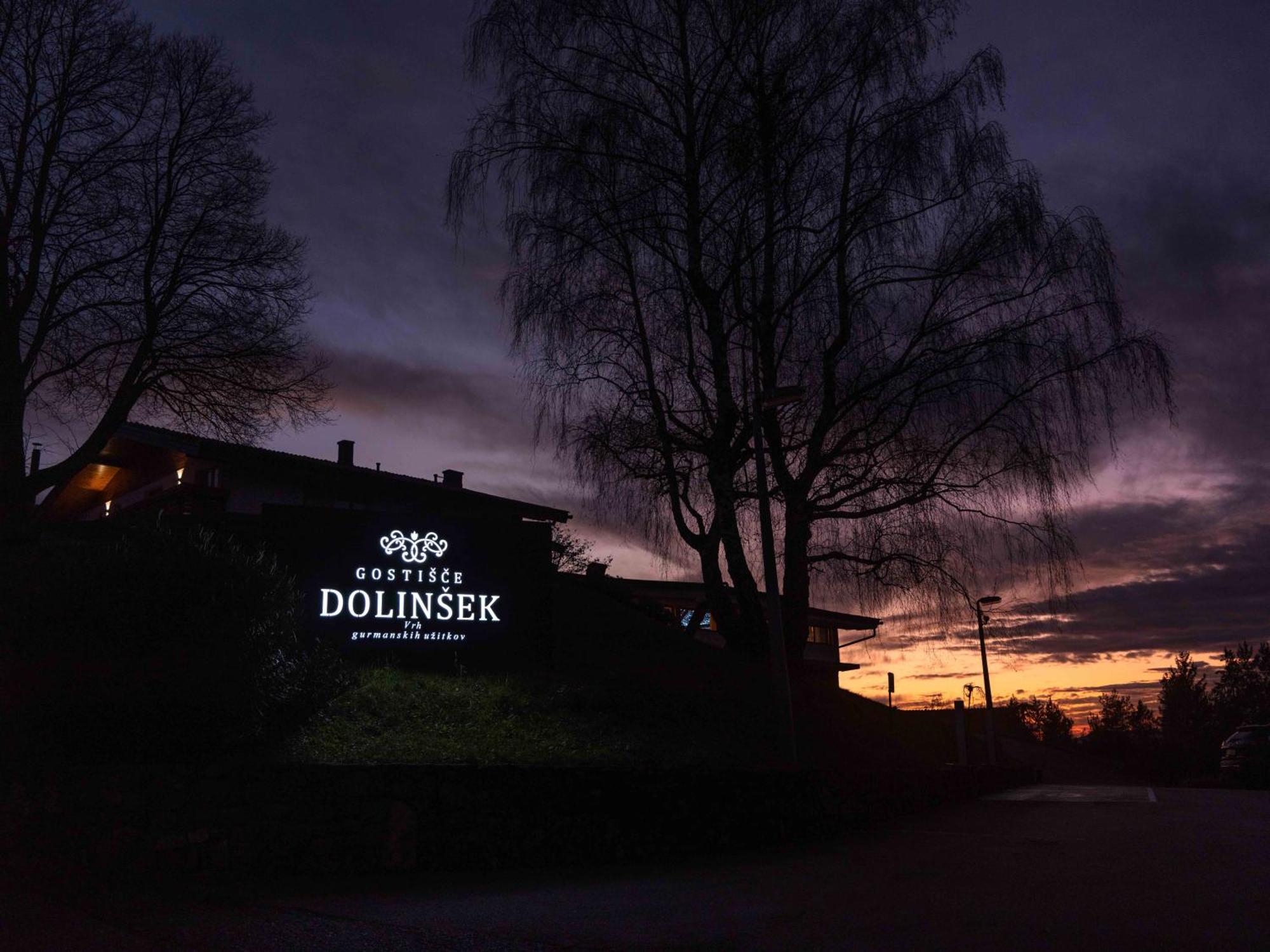 Guesthouse Dolinsek Sevnica Exterior foto